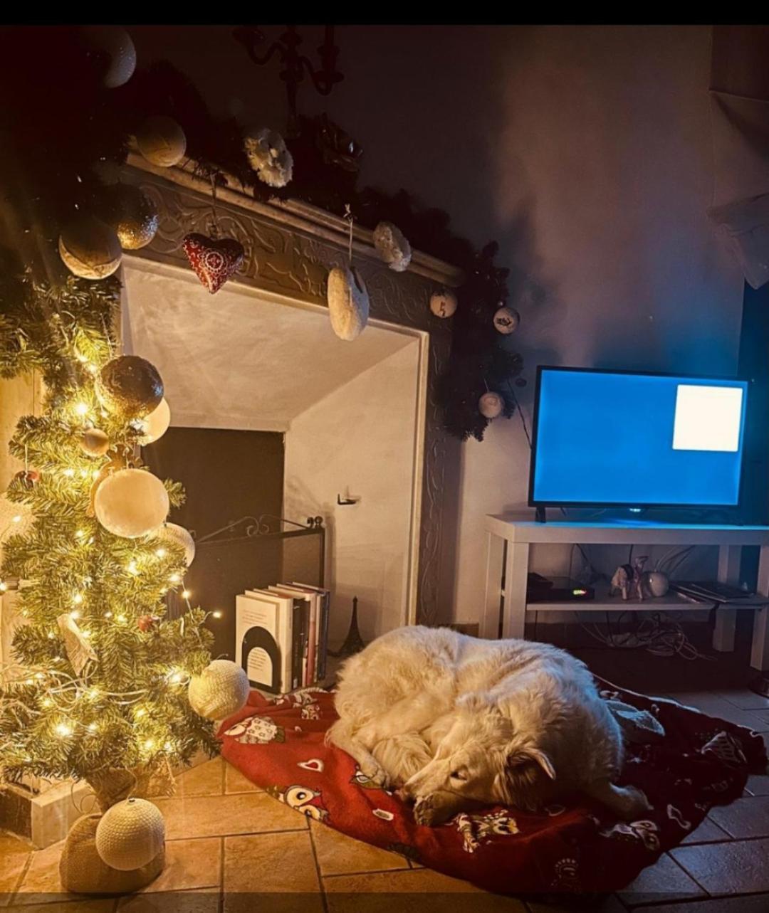 Apartament La Casa Di Miri Foligno Zewnętrze zdjęcie